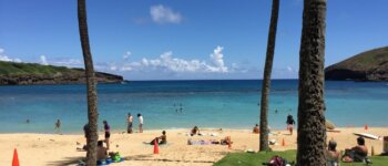 【海外旅行ブログ】ハネムーンで初めてのハワイ２日目その２（ハナウマ湾で超リラックス編）